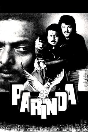 Parinda 1989 full movie best sale download 720p